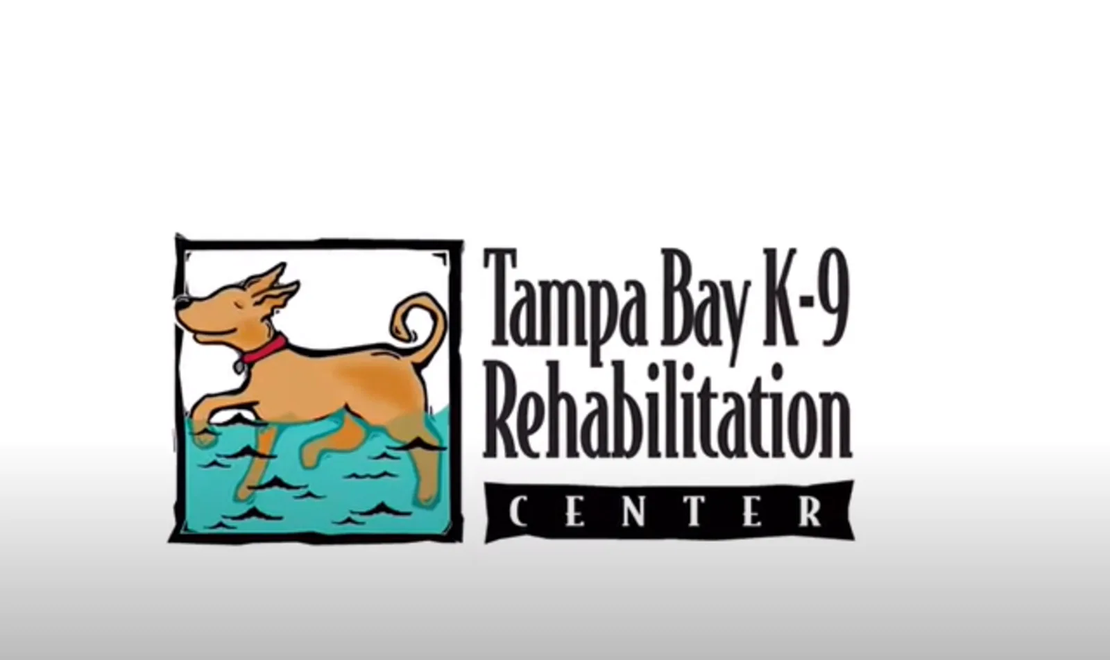 Tampa Bay K-9 Logo